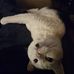 Tina Marie-McKenzie Truman - Facebook