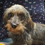 Tina  Wacker - @ottilie_wacker - Instagram