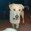 tinawebb6108 - @tinawebb6108 - TikTok