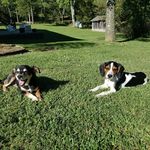 Tina Wilbert Springer - @sportsmom1419 - Instagram