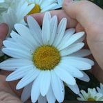 Tina Willson - @tina.willson.10 - Instagram