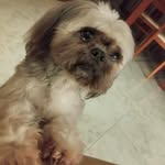 @tinawine_25 - Instagram