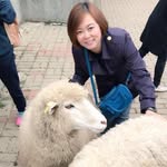Ting Lim - @lim.boonting.1 - Instagram