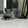 Ting_Ting_Wu - @ting_ting_wu - TikTok