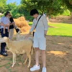 Hoàng Tình - @tinh.hoang.16121471 - Instagram