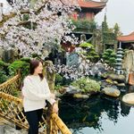 Tinh Hoang - @tinhhoang_22 - Instagram