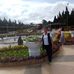 Tinh Le - Facebook