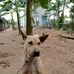 Tinh Le - Facebook