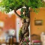 Tinh Phan - @tinh.phan - Instagram