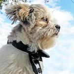 tiny smith - @tinymilyou - Instagram