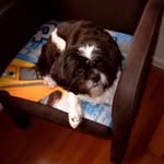Tiny Smith - @tiny2330 - Instagram