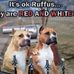Tiny Smith - Facebook