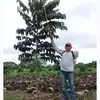 Tirso Ramírez979 - @tirsoramirez6 - TikTok