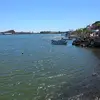 tirsoramirez972 - @tirsoramirez972 - TikTok