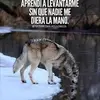 Tirso Sanchez - @tirsosanchez2 - TikTok