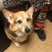Tish Bennett - Facebook