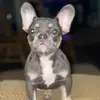 tishhicks26 - @tishhicks26 - TikTok