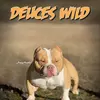 Tish Young351 - @901.suga_factory_kennels - TikTok