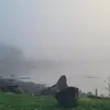 tishabryant3 - @tishabryant3 - TikTok