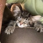 Tisha Rae Cunningham - @whiskeysgrl - Instagram