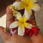 Tisha Harris - @attmhpfm - Instagram