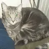 Tisha Harris - @tisha.harris2 - TikTok