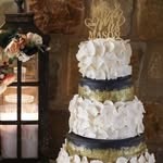 Tisha Alvarado Mason - @cakecouture.by.tisha - Instagram
