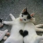 Tisha Morales - Facebook