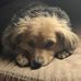 Tisha Mullins - Facebook