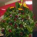 Tisha Rivera - Facebook