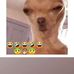 Tisha Robinson - Facebook