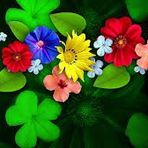 Tisha Saha - Facebook