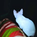 Titas Khan - @titas4604 - Instagram