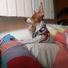 Tito Campos - @tito.campos - TikTok