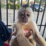 Tito - @m.titocastillo - Instagram