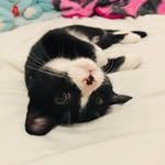Tito A. Esparza - @titoa.esparza - Instagram