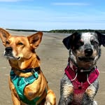 Tito J. Burrito & Raya James - @tito_the_tripod - Instagram