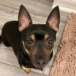 Hector Tito Nieves - @tito.nieves - Instagram