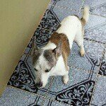 @tito_nieves - Instagram