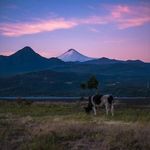 Tito Salgado - @victorsalgado1962 - Instagram