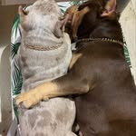Tito Valentino Walter - @titovalentinowalter - Instagram