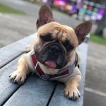 Tito Vasquez - @titofrench001 - Instagram