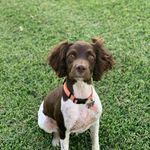 Titus Edwards - @titusedwards63 - Instagram