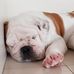 Titus Moore - Facebook