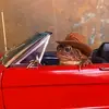Titus Moore - @bad.toad - TikTok