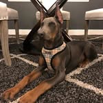 Tony R - @king_titus_robinson - Instagram