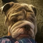 Titus Speights - @bdawg_titus - Instagram