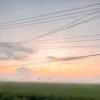 Titus Ware - @titus.ware - TikTok