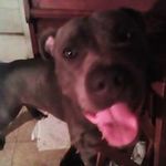 Titus Ware - @titusware - Instagram