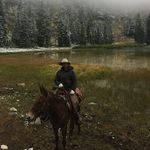 TJ Bingham - @tjbingo - Instagram